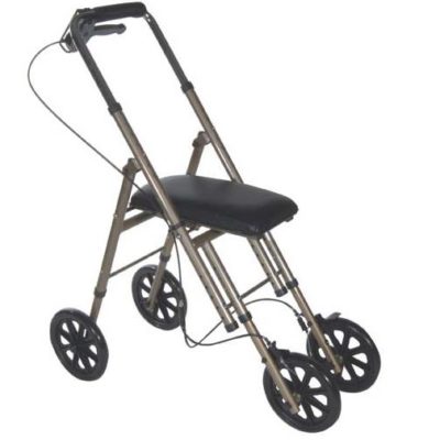 Economy Knee Walker